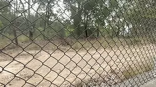 Flashing with ball stretcher next to highway.