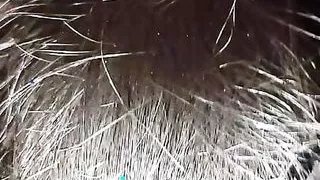 Hot sexy bhabhi Desi bhabhi cute pusssy videos Desi video xxx videos