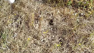 Cumming into used and dirty panty