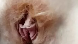 Crazy little thing called love