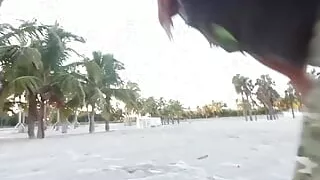 Jayla Foxx Fucks Shaggy in Public Restroom