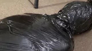 Emerging From the Cocoon