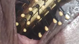 Destroying Pussy with Bristles