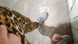 I Was Horny All Day so Whizzed Out a Quick Orgasm in a Restaurant Bathroom