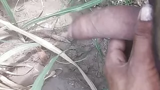 First time his cock rested in the woods Gao's bachelor boy Hindi sex video