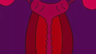 Internal Ejaculation #4 (Hentai Animation)