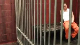 You Could Be My Stepfather