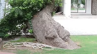 Naked and Afraid Sexy Nude Pakistani Boy Loves Exposing Big Ass in Public