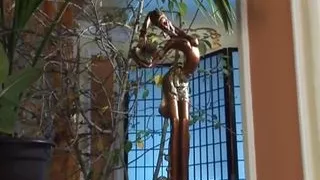 BBW German slut eats cum after hard fuck