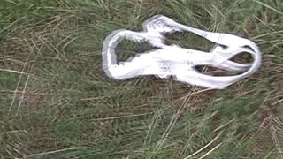 German slut goes wild with a big dick