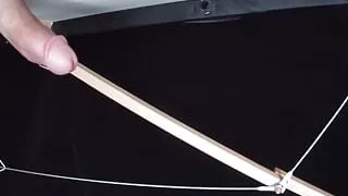 Stick moving alone with light electric shocks until he launched the charge.