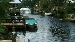 Juicy Creampies 2 - Episode 2