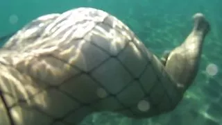 fishnet stocking in public sea and beach