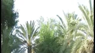 Housekeeper gets desired and fucked by the pool boy at the pool