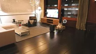 The Secret Reloaded - 9 Finally Home By MissKitty2K