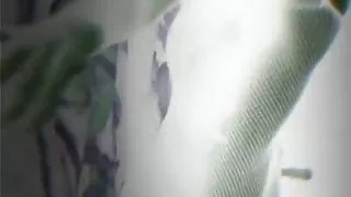 My Seductive Strip Tease