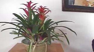 Top-class pornstar MILF enjoys dick in ass after a poker party