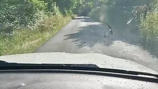 Sex in the Car with a Beautiful, Sexy Stranger