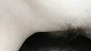 Give me your cock, let me impale myself on it