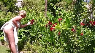 Story: Sexy Vacation in Paradise