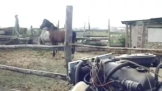 Superb German babe fucked on the farm