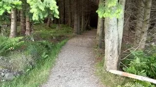 Caught Peeing Girl in the Forest Outside