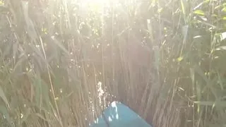 Cosplayer sucks me off by the lake