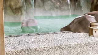 Harem Hotel Presentation Meet Hotties and Maids Soo Cute!! - Part 1