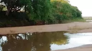 Bhabhi ko jungle me choda hindi sex outdoor