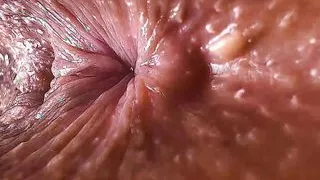 Flies do not sit down on my butthole because it's lucked by cuckolds