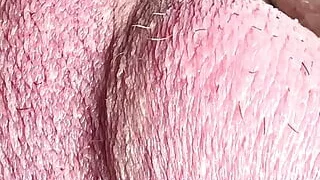 Very accurate details of the cock and testicles in the best quality