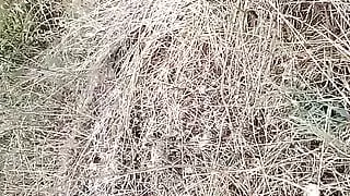 Naked in the hot summer