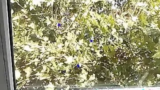 I know you want my big ass