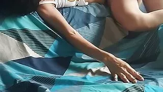 Venezuelan Swallows Cock