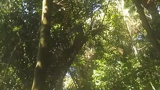 New video 2024-07-20 14:16:41