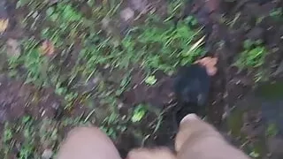 Early morning walk in the park.