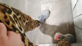 Being bad in restaurant bathrooms even busting out an orgasm in one of them