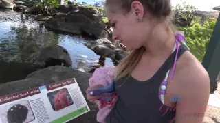 Virtual Vacation In Hawaii With Sydney Cole