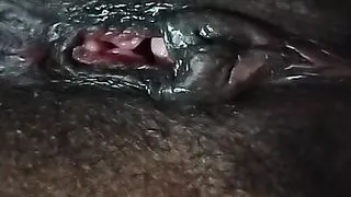 Masti New gris full time Maza