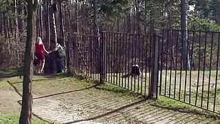 Great sex with a view