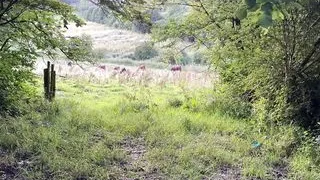 Risky Public Handjob - The Train is Coming