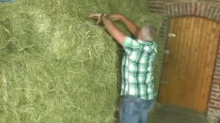 Older couple takes break from working at field