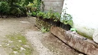 Jordan quickly because someone will come home