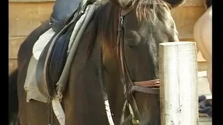 Blonde GILF gets fucked outdoors