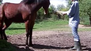 Lovely brunette fucked outdoors after masturbating