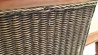 Amateur blonde gets anally fucked from behind