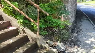 Caught peeing on a stairway