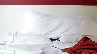 Sex with My Big Jesus Sanchez with His Big Cock Fucking Me