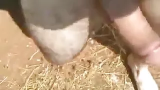 I stand in the field, get naked and get caught