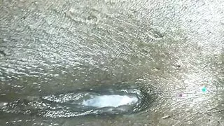 Real Taboo Porn Video